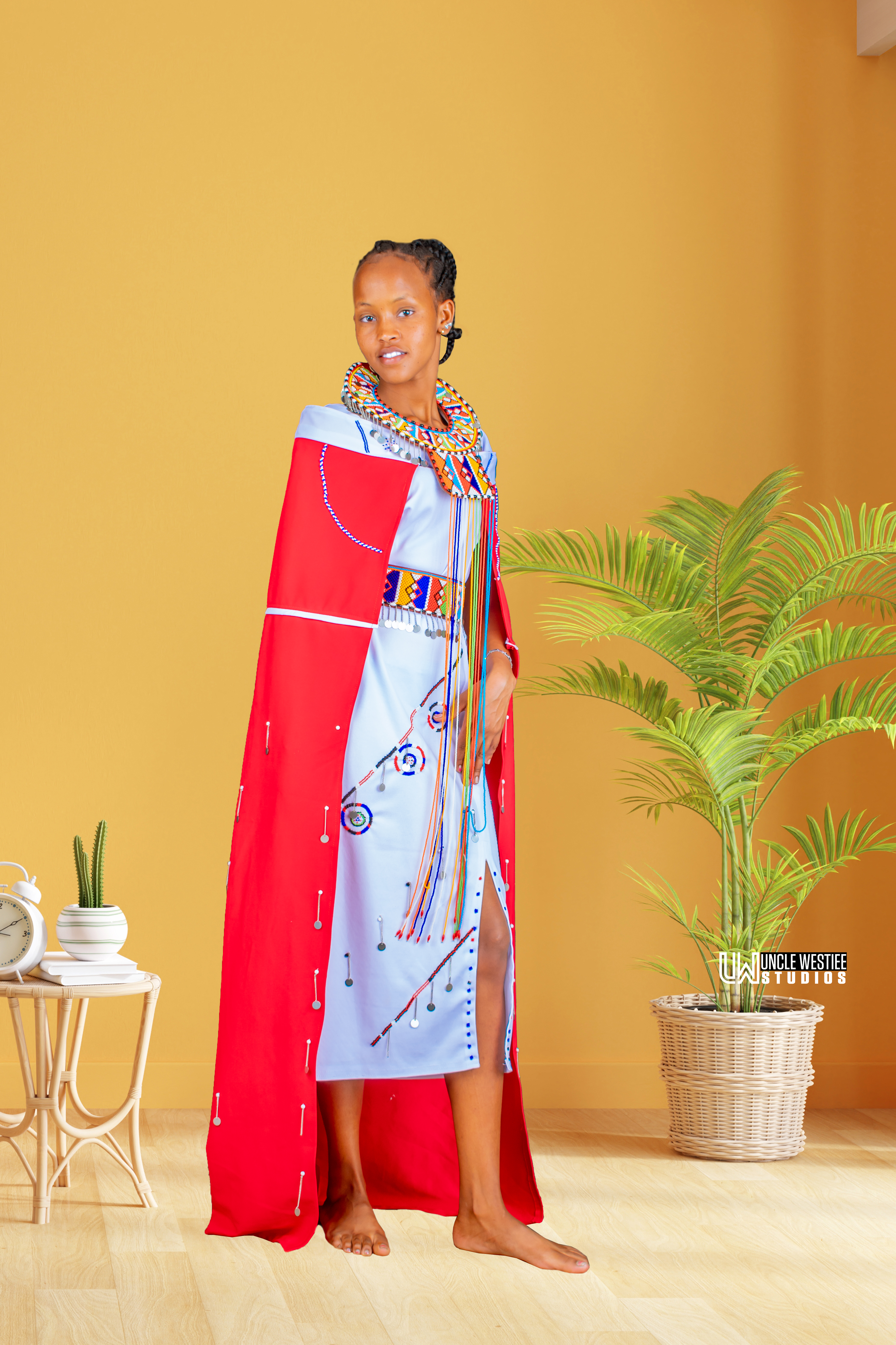 Stunning Aurora Borealis